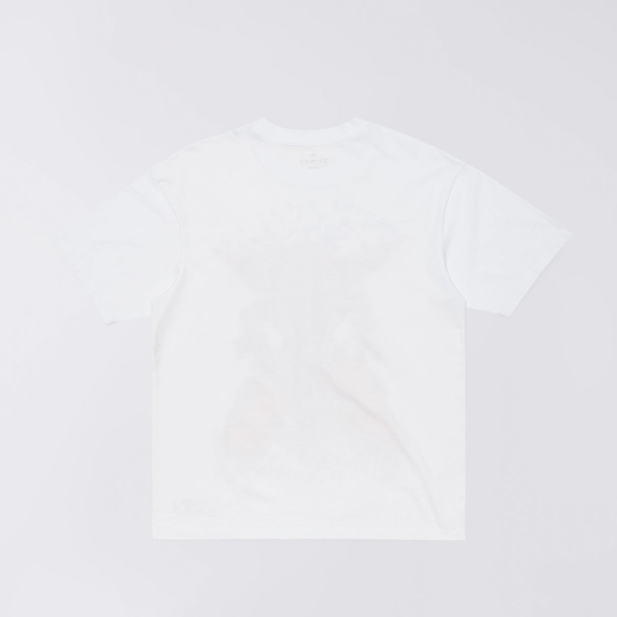 Edwin FANTASY T-SHIRT, White Washed