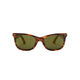 Acne Studios SUNGLASSES, Brown/Gold