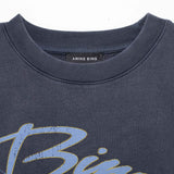 Anine Bing SPENCER SWEATSHIRT EAGLE, Washed Black