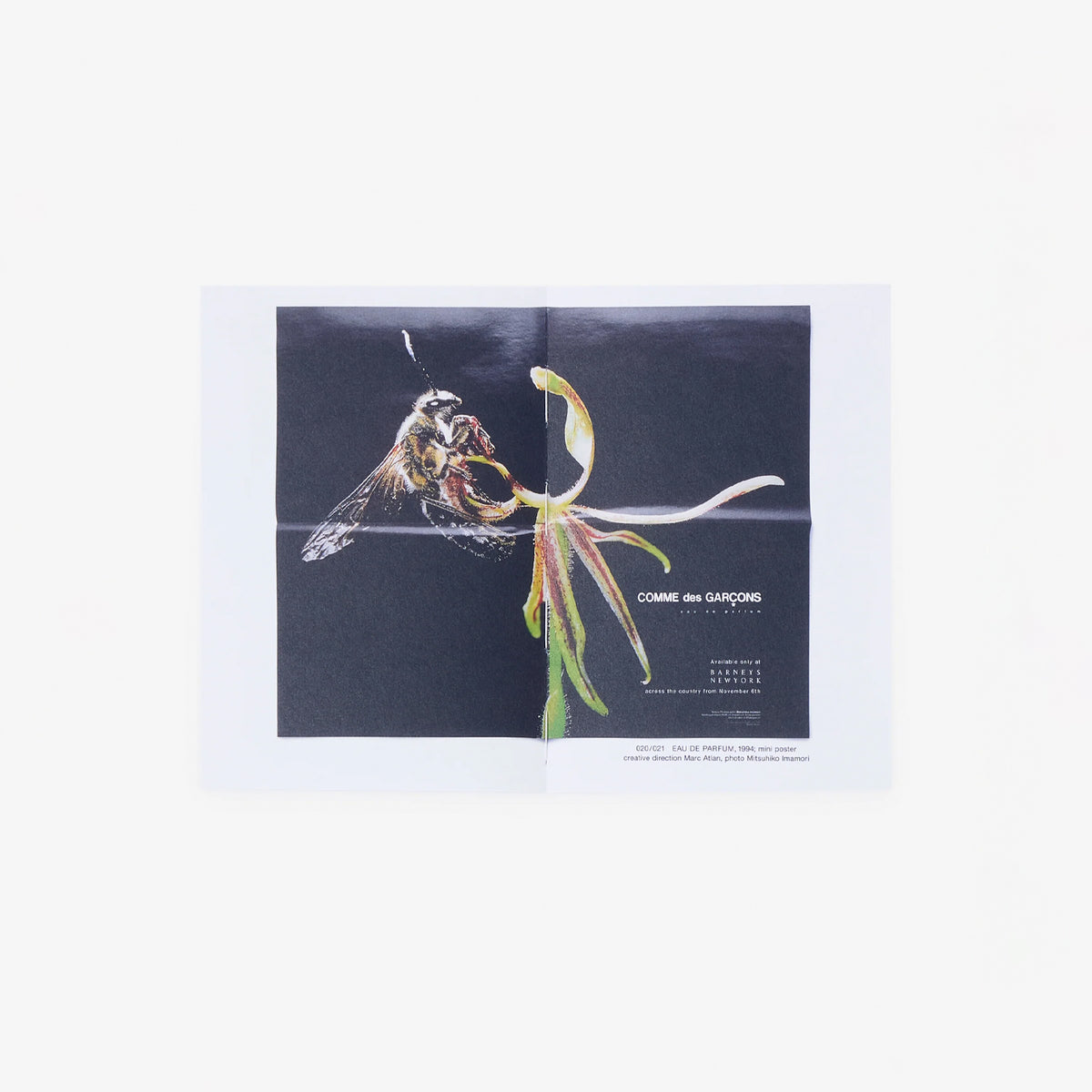 Comme des Garçons PARFUMS 1994-2027 THE SMALL BOOK BY DINO SIMONETT