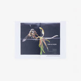 Comme des Garçons PARFUMS 1994-2027 THE SMALL BOOK BY DINO SIMONETT