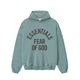 Fear of God ESSENTIALS CAMPUS 90'S HOODIE, Faded Coastal