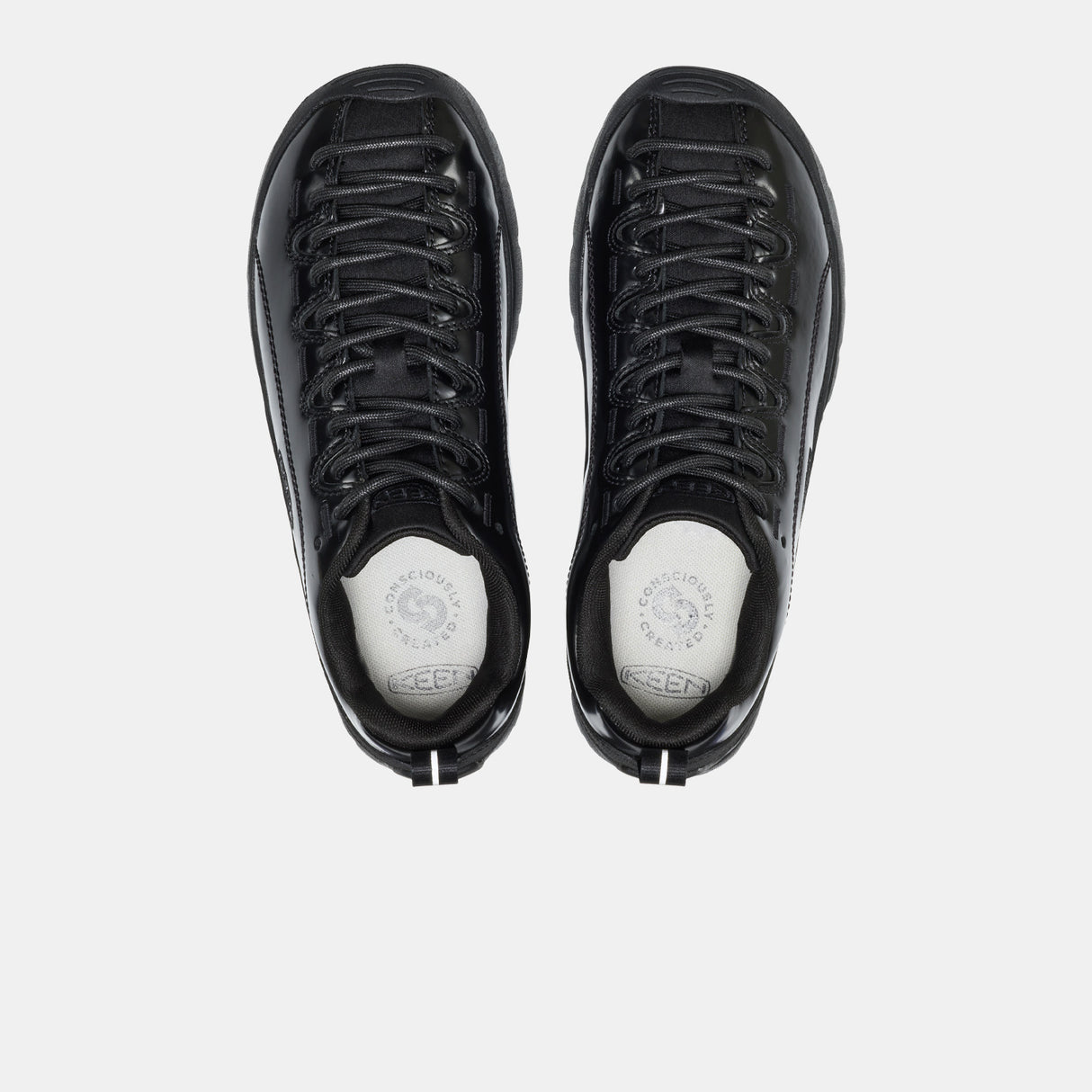 Keen JASPER, Perseid Black