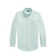 Polo Ralph Lauren CUSTOM FIT STRIPED OXFORD SHIRT, Scarab Green/White