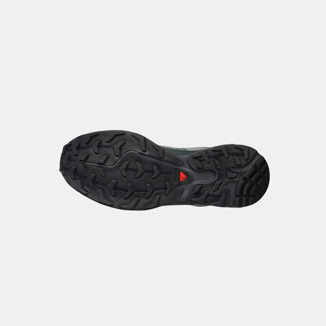 Salomon XT-6 GORE-TEX, Wrought Iron/Urban Chic/Sedona Sage