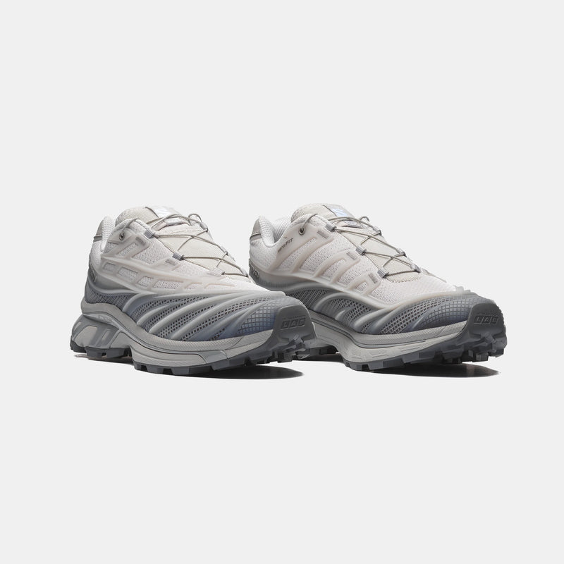 Salomon XT-EVO, Alloy/Castlerock/Ftw Silver