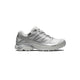 Salomon XT-PATHWAY GORE-TEX, Lunar Rock/Alloy/Ftw Silver
